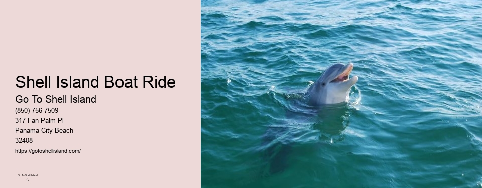 Shell Island Boat Ride